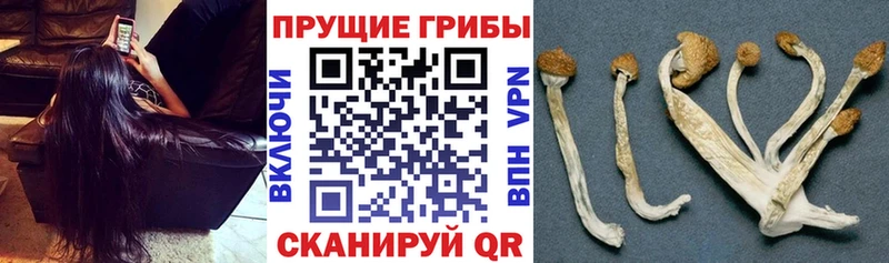 Псилоцибиновые грибы Magic Shrooms  Купить  Стерлитамак 